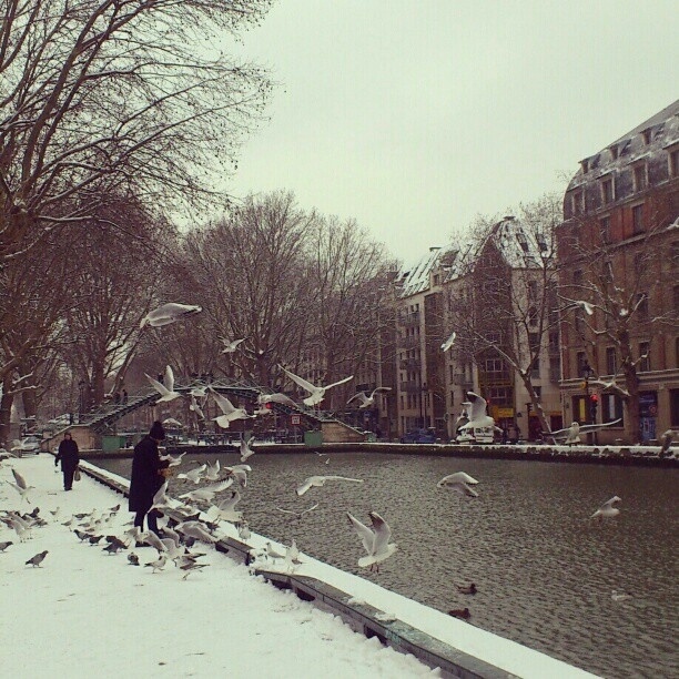Εκπληκτικές φωτογραφίες του χιονισμένου Παρισιού