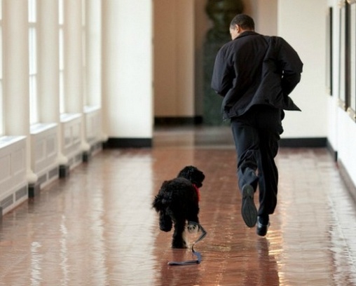 Δείτε άγνωστες στιγμές των «ενοίκων» του Λευκού Οίκου(pics)