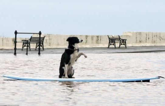 Εκπέμπουν συναγερμό για τις πλημμύρες- Βυθίζονται περιοχές(pics)