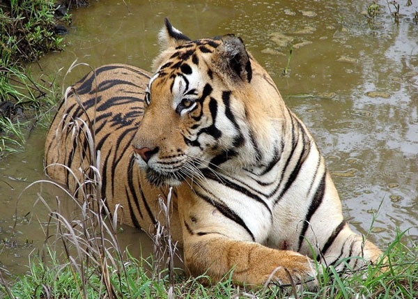 Μέρη του κόσμου όπου τα παραμύθια ζωντανεύουν! (pics)
