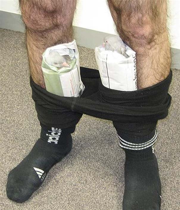 Τρελό λαθρεμπόριο: Τα πιο ασυνήθιστα ευρήματα