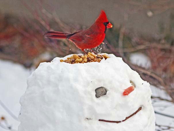 Οι πιο αστείοι χιονάνθρωποι που έχετε δει! (pics)