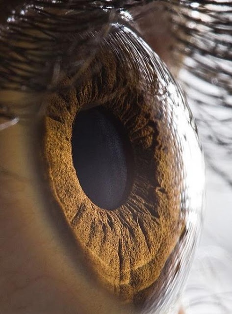 Μπορείτε να καταλάβετε τι είναι αυτό; (pics)