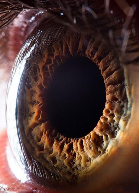 Μπορείτε να καταλάβετε τι είναι αυτό; (pics)