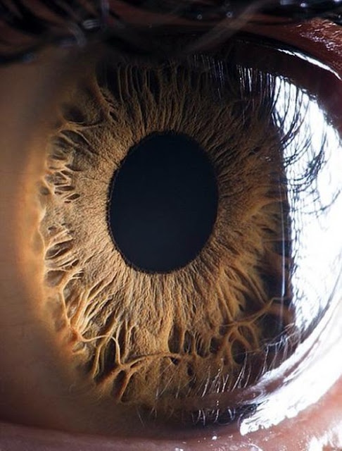 Μπορείτε να καταλάβετε τι είναι αυτό; (pics)