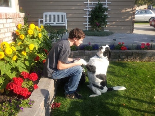 Δείτε σκυλάκια σε απίθανες στιγμές! (pics)