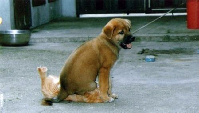 ΔΕΙΤΕ: Τα πάντα είναι θέμα στιλ!