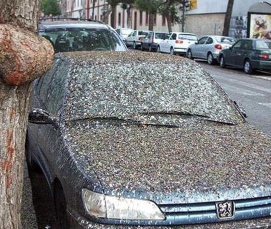 Αυτό σημαίνει ...γκαντεμιά! (pics)