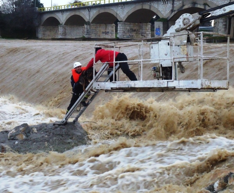 Συγκινητική επιχείρηση διάσωσης σκύλου στον Τύρναβο (pics) 