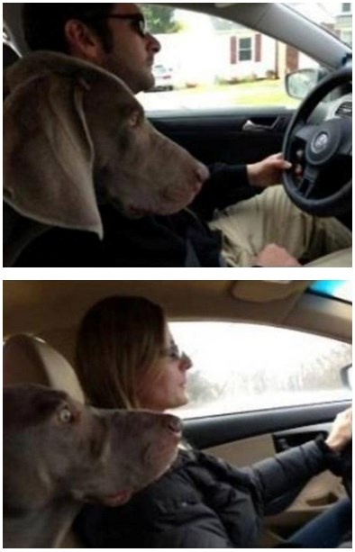 Οδήγηση γυναίκας VS οδήγηση άντρα