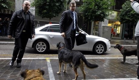 Τα αδέσποτα της Αθήνας υποδέχτηκαν την Τρόικα (Pics)