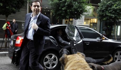 Τα αδέσποτα της Αθήνας υποδέχτηκαν την Τρόικα (Pics)