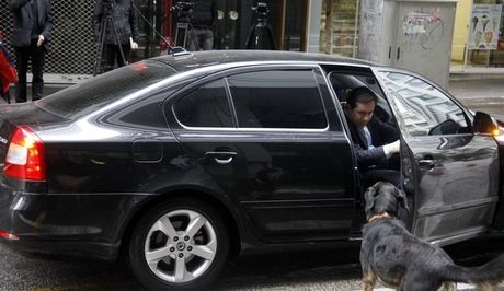 Τα αδέσποτα της Αθήνας υποδέχτηκαν την Τρόικα (Pics)