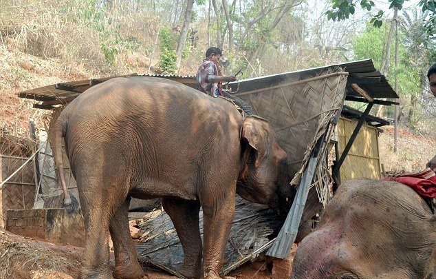 Δεν υπάρχει: Έτσι γκρεμίζουν τα αυθαίρετα στην Ινδία (pics)