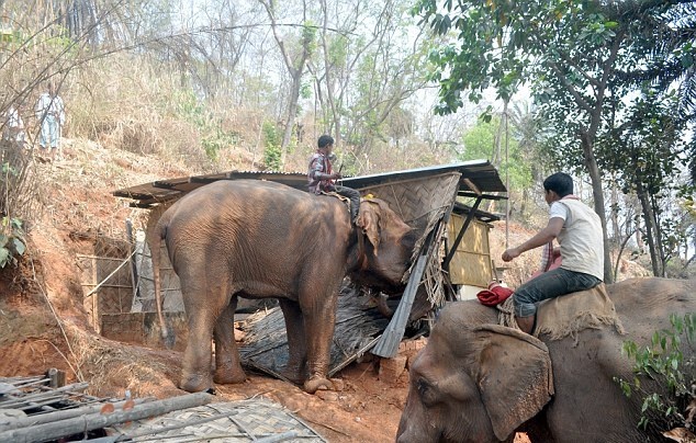 Δεν υπάρχει: Έτσι γκρεμίζουν τα αυθαίρετα στην Ινδία (pics)