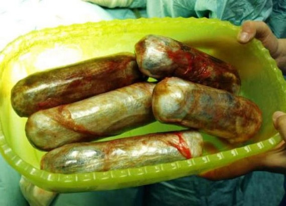 ΦΡΙΚΗ: Ανάγκαζαν σκυλιά να καταπίνουν ναρκωτικά και μετά τα έσφαζαν