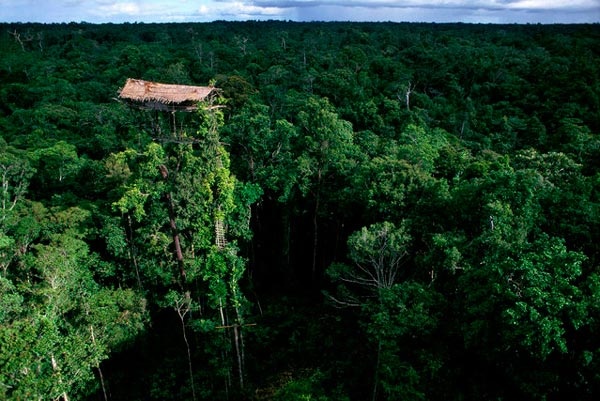 Δείτε: Ένα ολόκληρο χωριό πάνω στα δέντρα! (pics)