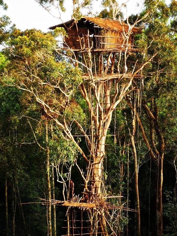 Δείτε: Ένα ολόκληρο χωριό πάνω στα δέντρα! (pics)