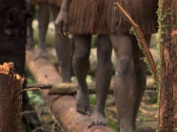 Δείτε: Ένα ολόκληρο χωριό πάνω στα δέντρα! (pics)