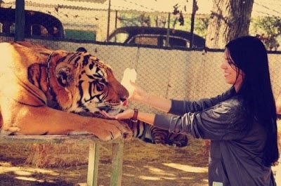 Ένας ζωολογικός κήπος μόνο για τους τολμηρούς (pics)