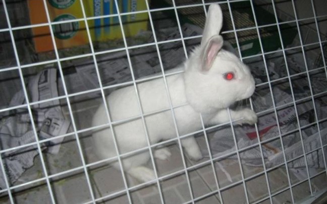 Έμπλεξαν άσχημα...(pics)