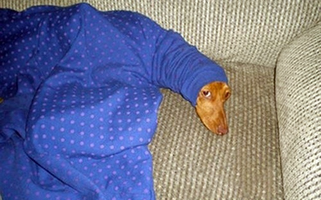 Έμπλεξαν άσχημα...(pics)