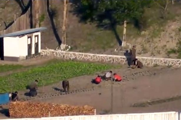 Δείτε τη συγκλονιστική εικόνα που κάνει το γύρο του κόσμου!