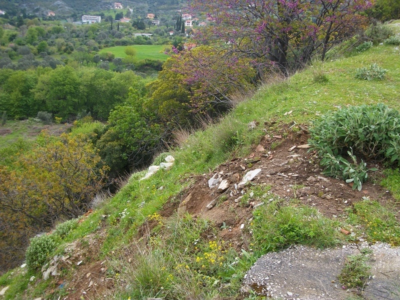 Του έκανε οτοστόπ και όταν σταμάτησε είδε ένα πρόσωπο γεμάτο αίματα! 