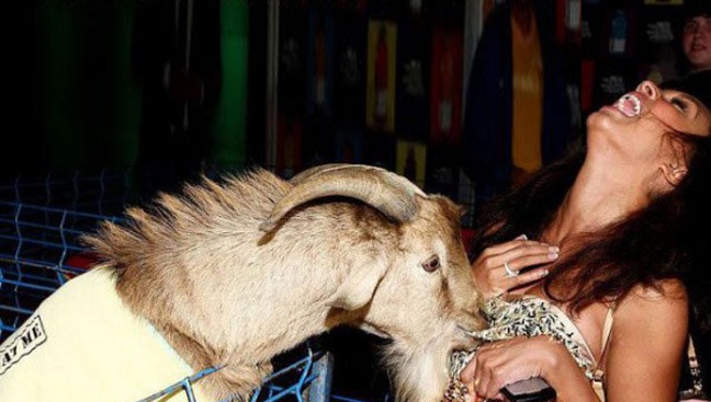 Ακόμα και τα ζώα δεν μπορούν να αντισταθούν σε αυτές τις κοπέλες!