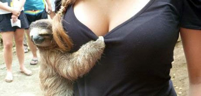 Ακόμα και τα ζώα δεν μπορούν να αντισταθούν σε αυτές τις κοπέλες!