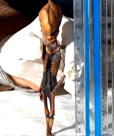 Η αλήθεια για τον μικροσκοπικό εξωγήινο