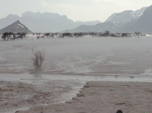 Απίστευτο: Χιόνι στην έρημο!