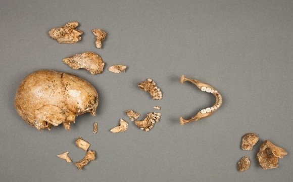 Οι πρώτοι έποικοι των ΗΠΑ επιβίωσαν με κανιβαλισμό