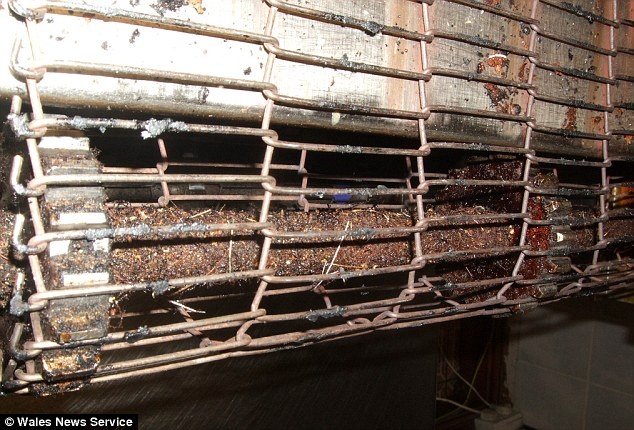 ΑΗΔΙΑ: Δείτε τι έκαναν υπάλληλοι εστιατορίου προτού μαγειρέψουν