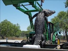 18χρονος έπιασε έναν τεράστιο κροκόδειλο - Δείτε τις εικόνες