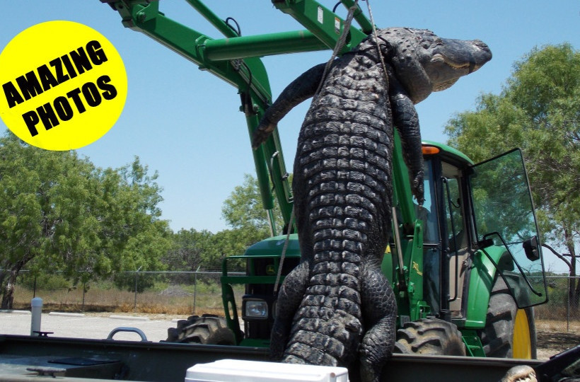 18χρονος έπιασε έναν τεράστιο κροκόδειλο - Δείτε τις εικόνες