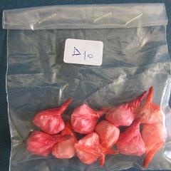 Κέρκυρα: 31χρονος σκορπούσε τον «λευκό θάνατο» (pics)