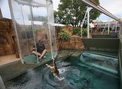 Το κλουβί του θανάτου (pics)