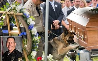 Το τελευταίο αντίο ενός πιστού φίλου: Η φώτο που συγκίνησε χιλιάδες