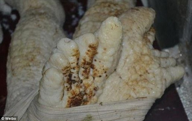 Σάλος στο διαδίκτυο: Ισχυρίζεται ότι αιχμαλώτισε εξωγήινο! (pics)