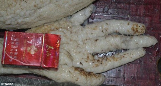 Σάλος στο διαδίκτυο: Ισχυρίζεται ότι αιχμαλώτισε εξωγήινο! (pics)