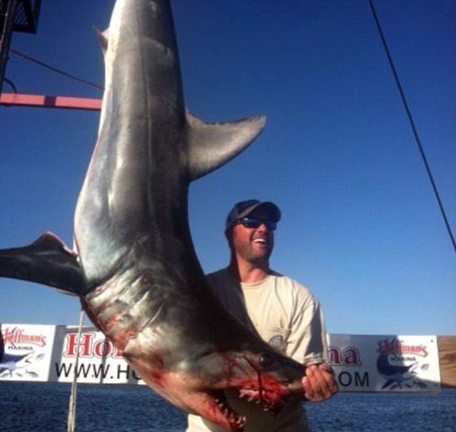 Τρομοκρατήθηκαν οι ψαράδες από... ουρανοκατέβατο καρχαρία