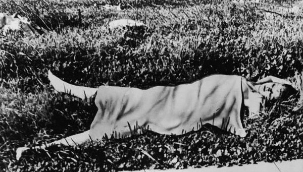 Η πραγματική ιστορία της «Μαύρης Ντάλιας»