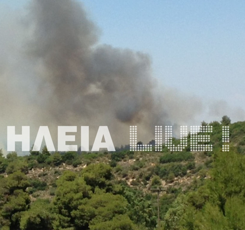 Πύρινη κόλαση στην Ηλεία-Τρεις πυρκαγιές μέσα σε λίγα λεπτά (pics)