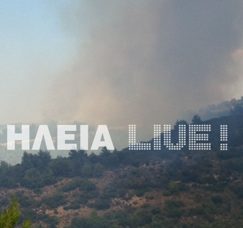 Πύρινη κόλαση στην Ηλεία-Τρεις πυρκαγιές μέσα σε λίγα λεπτά (pics)