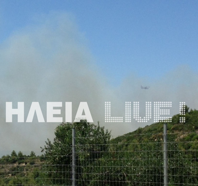 Πύρινη κόλαση στην Ηλεία-Τρεις πυρκαγιές μέσα σε λίγα λεπτά (pics)