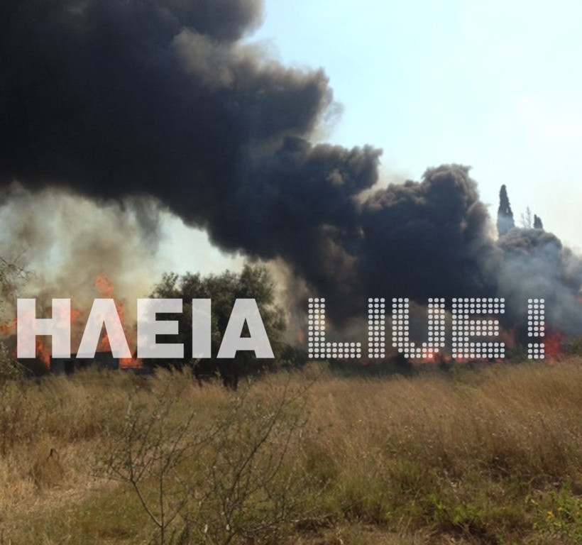 Νέα πυρκαγιά στον Πύργο (pics)