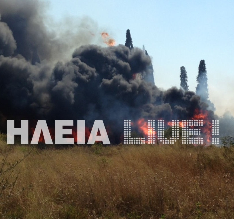 Νέα πυρκαγιά στον Πύργο (pics)