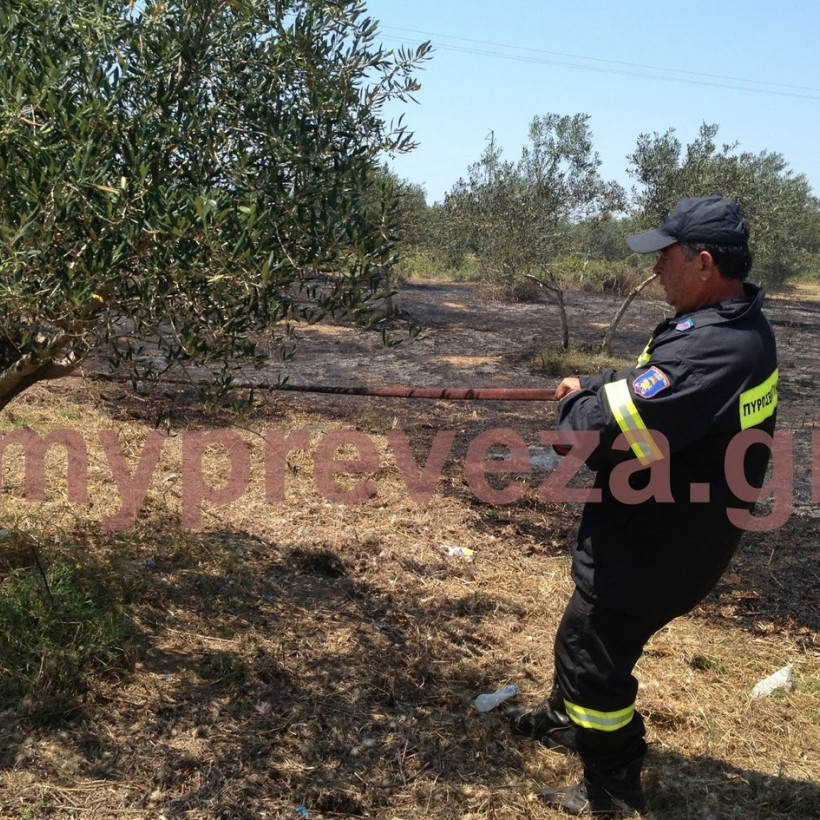 Φωτιά στην Πρέβεζα 