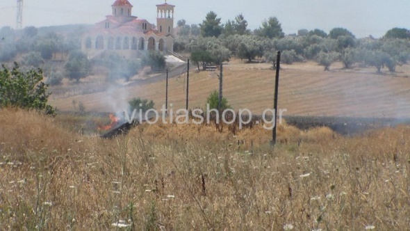 Μικρής έκτασης φωτιά στη Θήβα (pics)